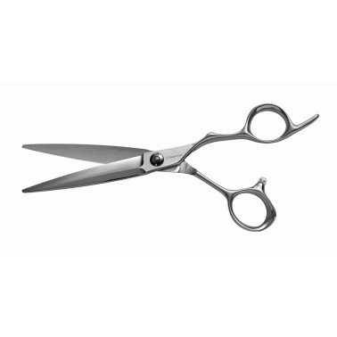 ciseau de coiffure professionnel dune modele grey taille 6.5